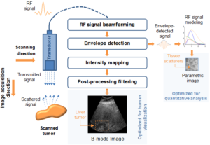 Tissue_heterogeneity